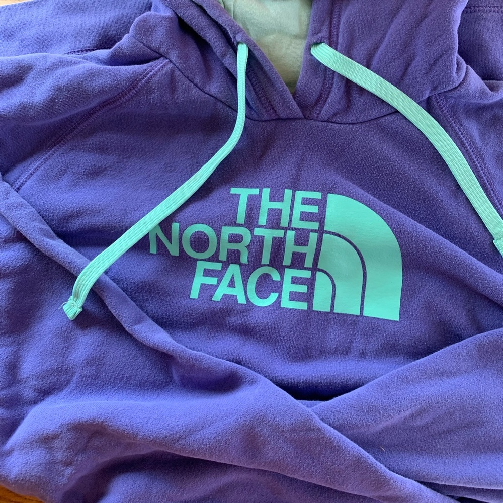 The north face hoodie